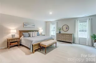 13033 Cinnamon Fern Ln, Charlotte, NC 28227 - Photo 24
