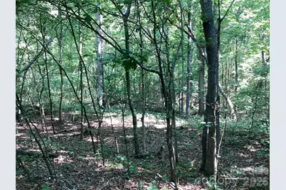 2870 Dunns Mountain Road, Salisbury, NC 28146 - Photo 4