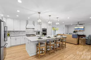 1315 Holmes Dr, Charlotte, NC 28209 - Photo 2