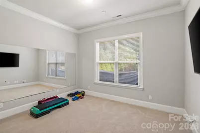 156 Reserve Lane, Fort Mill, SC 29707 - Photo 34