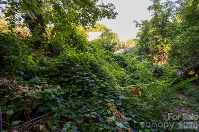91 Clingman Avenue, Asheville, NC 28801 - Photo 34