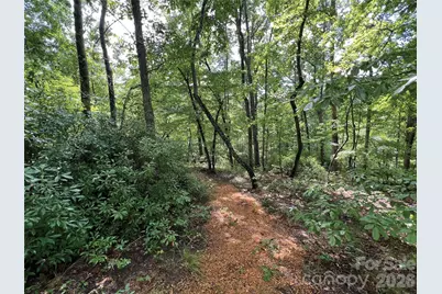 00000 Shady Bark Lane 43 & #44, Rutherfordton, NC 28139 - Photo 4