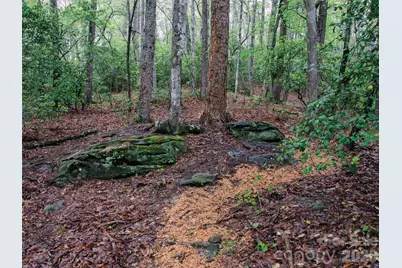 00000 Shady Bark Lane 43 & #44, Rutherfordton, NC 28139 - Photo 32