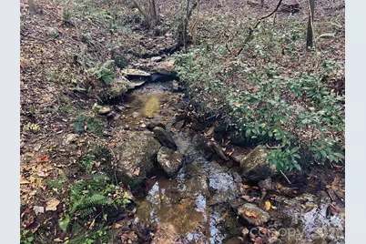 00000 Shady Bark Lane 43 & #44, Rutherfordton, NC 28139 - Photo 20