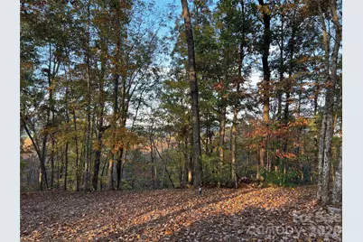 00000 Shady Bark Lane 43 & #44, Rutherfordton, NC 28139 - Photo 12