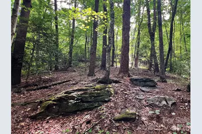 00000 Shady Bark Lane 43 & #44, Rutherfordton, NC 28139 - Photo 10