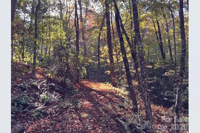00000 Shady Bark Lane 43 & #44, Rutherfordton, NC 28139 - Photo 22