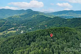 72 Wildflower Mountain Trl, Candler, NC 28715 - Photo 2