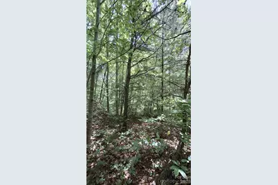 112 Kako Ridge #59, Sylva, NC 28779 - Photo 18