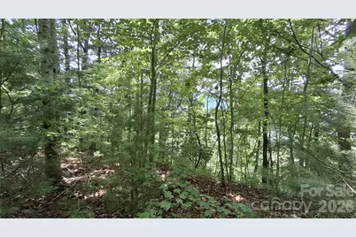 112 Kako Ridge #59, Sylva, NC 28779 - Photo 10