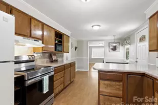 407 Hall St, Hendersonville, NC 28739 - Photo 10