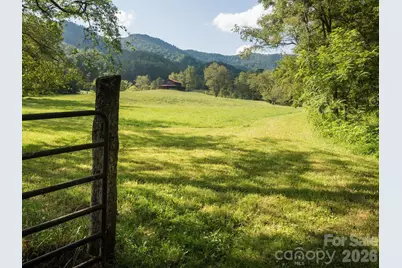 741 Morrow Branch Road, Leicester, NC 28748 - Photo 2