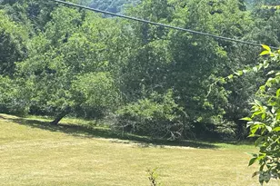 130 Wid Smith Rd, Burnsville, NC 28714 - Photo 24