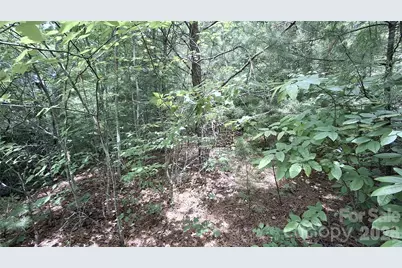 77 Kako Ridge #57, Sylva, NC 28779 - Photo 12