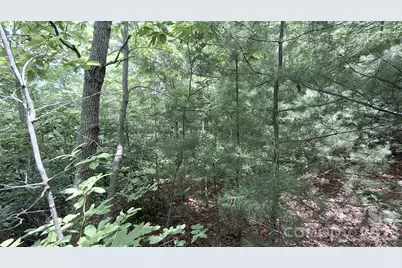 77 Kako Ridge #57, Sylva, NC 28779 - Photo 14