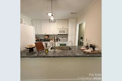 12334 Danby Road, Pineville, NC 28134 - Photo 4