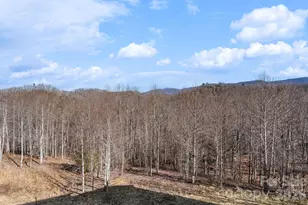 171 Pleasant View Dr, Vilas, NC 28692 - Photo 16