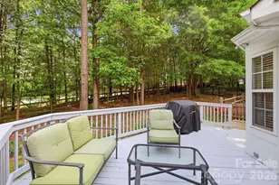 3126 Spring Fancy Ln, Indian Trail, NC 28079 - Photo 34