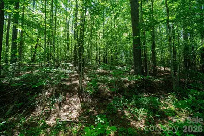 99999 Tryon Road, Rutherfordton, NC 28139 - Photo 8