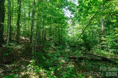 99999 Tryon Road, Rutherfordton, NC 28139 - Photo 10