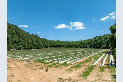 99999 Tryon Road, Rutherfordton, NC 28139 - Photo 2
