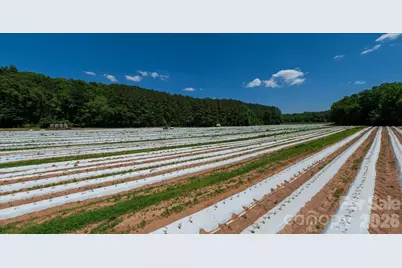 99999 Tryon Road, Rutherfordton, NC 28139 - Photo 4