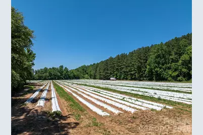 99999 Tryon Road, Rutherfordton, NC 28139 - Photo 6