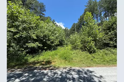 99999 Thompson Lake Road, Rutherfordton, NC 28139 - Photo 8