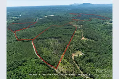 99999 Thompson Lake Road, Rutherfordton, NC 28139 - Photo 20