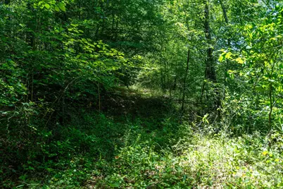 99999 Thompson Lake Road, Rutherfordton, NC 28139 - Photo 16