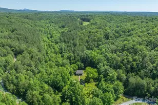 1194 Palmer Rd, Mill Spring, NC 28756 - Photo 10