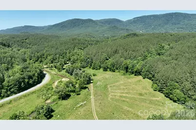 1194 Palmer Road, Mill Spring, NC 28756 - Photo 1