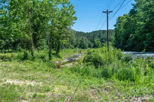 1194 Palmer Rd, Mill Spring, NC 28756 - Photo 4