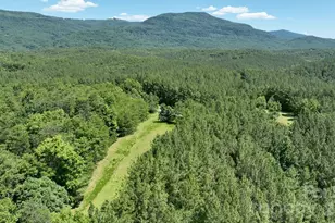 1194 Palmer Rd, Mill Spring, NC 28756 - Photo 8