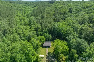 1194 Palmer Rd, Mill Spring, NC 28756 - Photo 22