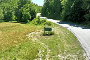 1194 Palmer Rd, Mill Spring, NC 28756 - Photo 2