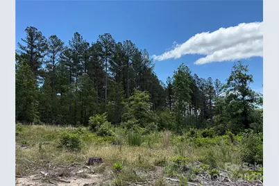 9999 Clark Road, Rutherfordton, NC 28139 - Photo 14