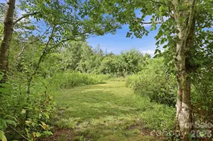 1091 Windswept Ridge Rd, Marshall, NC 28753 - Photo 42