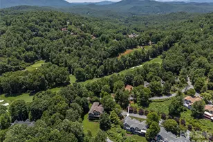 2 Meadow Ridge Ln, Hendersonville, NC 28739 - Photo 48