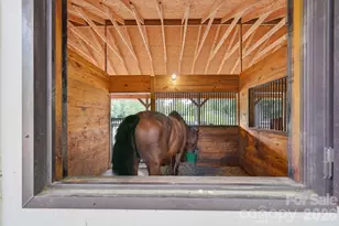 8528 Waxhaw Creek Rd, Waxhaw, NC 28173 - Photo 42