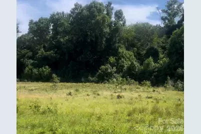 000 Promise Pride Drive, Edgemoor, SC 29712 - Photo 6