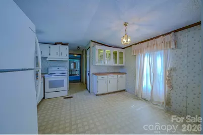 12 Sweet Birch Drive, Alexander, NC 28701 - Photo 14