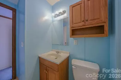 12 Sweet Birch Drive, Alexander, NC 28701 - Photo 20