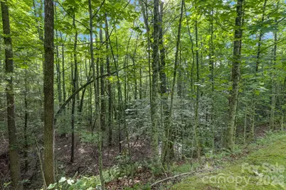 Tbd Allison Creek Trail #A5, Brevard, NC 28712 - Photo 18
