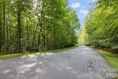 Tbd Allison Creek Trail #A5, Brevard, NC 28712 - Photo 16