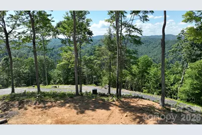 Lot 6 Pinnacle View, Elk Park, NC 28622 - Photo 8