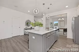 15033 Meacham Farm Dr, Huntersville, NC 28078 - Photo 4