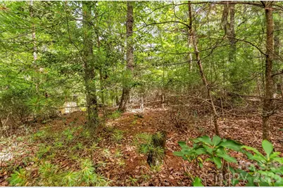 2040 Hampson Road, Morganton, NC 28655 - Photo 10