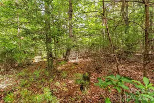 2040 Hampson Rd, Morganton, NC 28655 - Photo 10