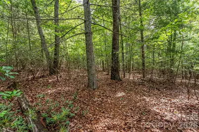 2040 Hampson Road, Morganton, NC 28655 - Photo 8